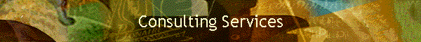Consulting Services