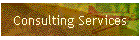 Consulting Services