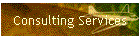 Consulting Services